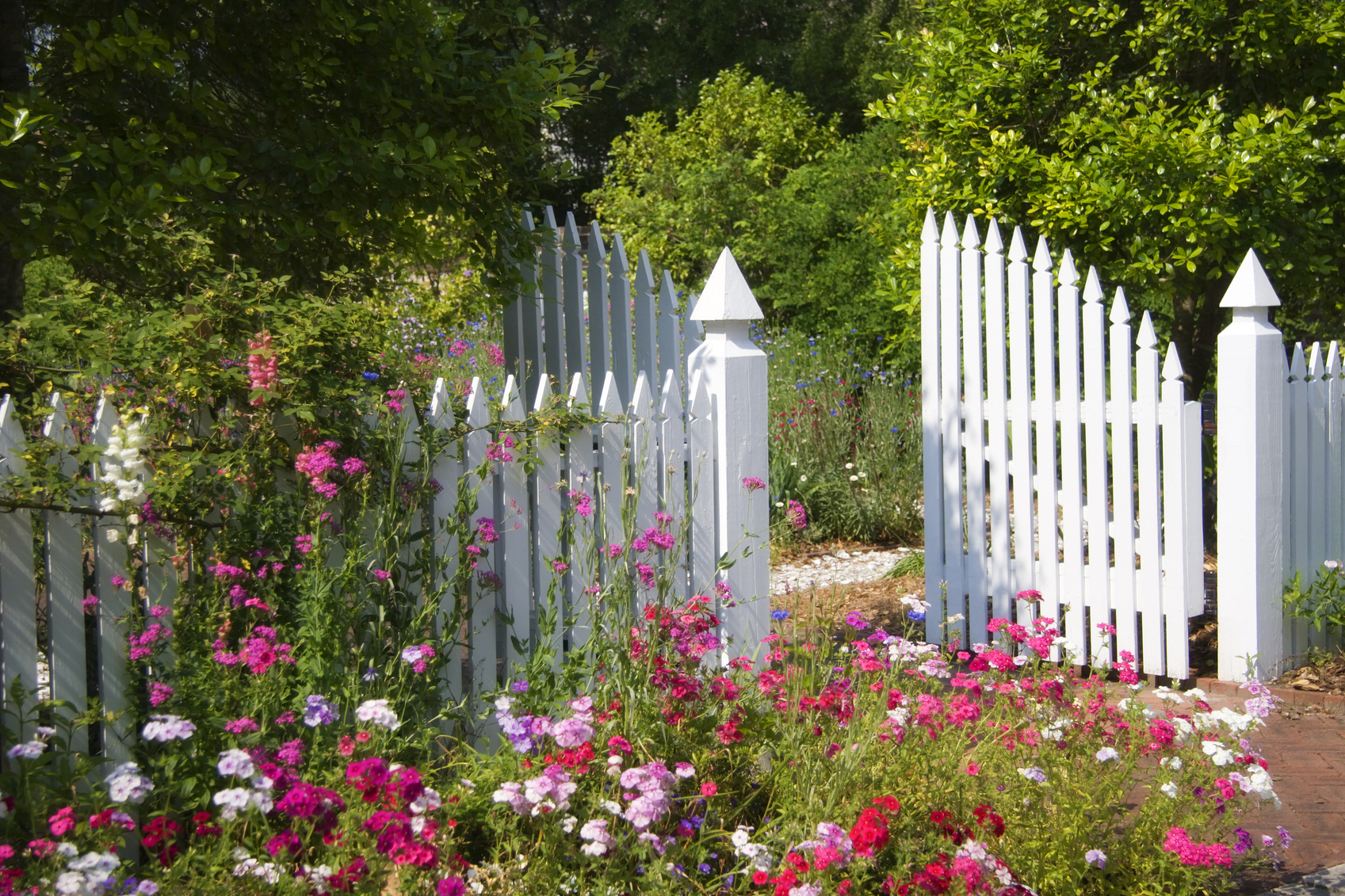 Beautiful Garden with Fencing