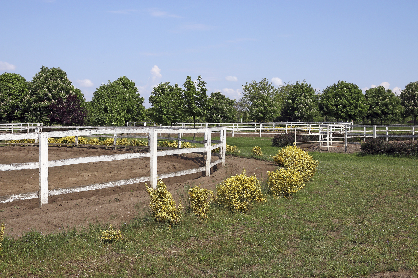 Equestrian Enclosures